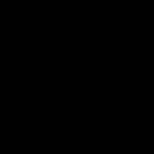 Meet your Posher, Lexie